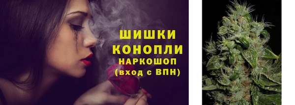 ECSTASY Богородицк