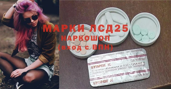ECSTASY Богородицк