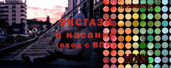 ECSTASY Богородицк