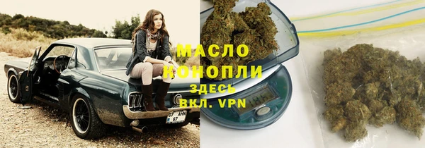 ECSTASY Богородицк