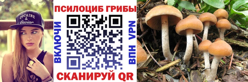 Галлюциногенные грибы MAGIC MUSHROOMS  Онега 